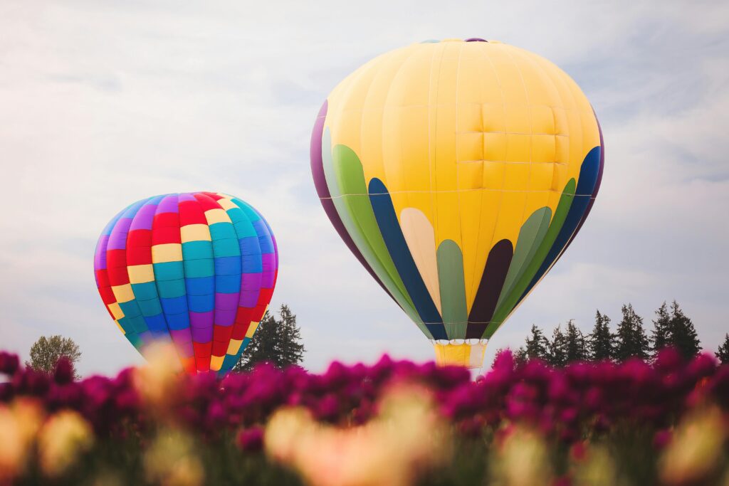 pexels-dellamortphotography-693490